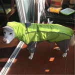 Rain Jumpsuit For Big Medium Small Dogs