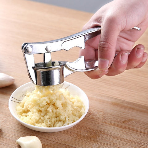 Stainless Steel Garlic Press Crusher.