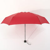 Small Fashion Folding Umbrella Rain Women